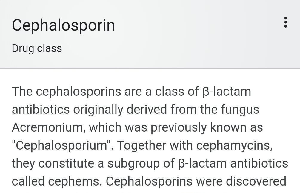 CEPHALOSPORINS